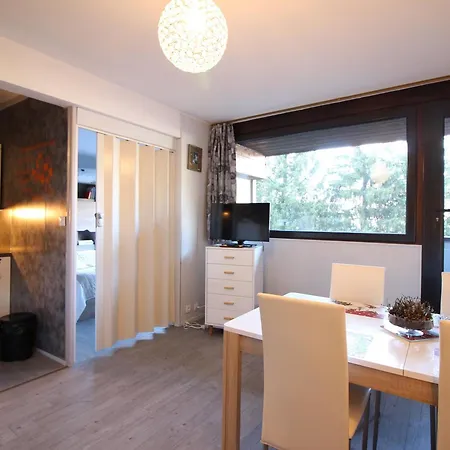 Bel T2 Avec Balcon Et Wifi Au Mont-dore - Fr-1-608-267 * Le Mont-Dore